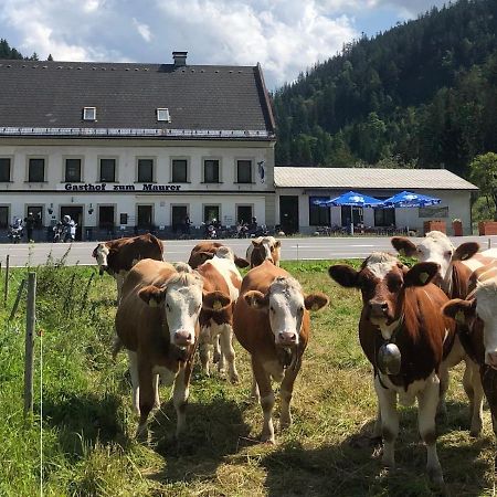 Gasthof Zum Maurer Hotell Mariazell Eksteriør bilde